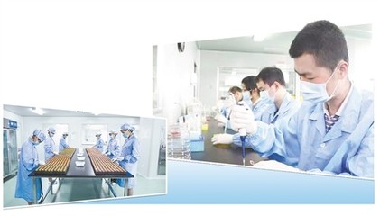 分子診斷站上“風口”，技術服務迎來新機遇